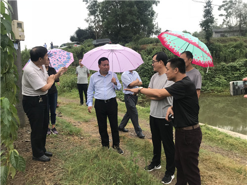 慈利縣九九農業開發有限公司,張家界粘木苗銷售,杜仲種植,苗木銷售 慈利縣九九農業開發有限公司,張家界粘木苗銷售,杜仲種植,苗木銷售